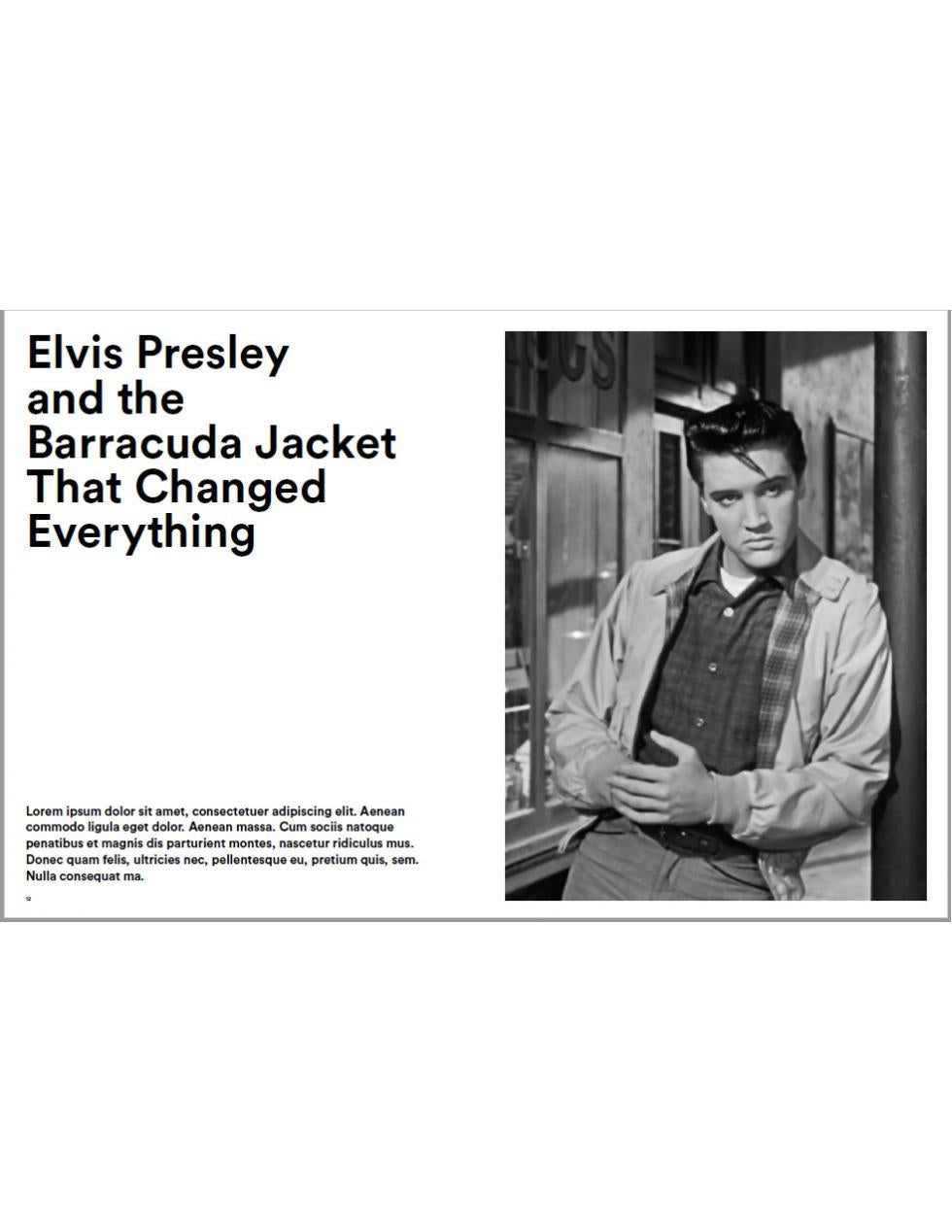 Book: THE REBEL'S WARDROBE - The Untold Story of Menswear's Renegade Past