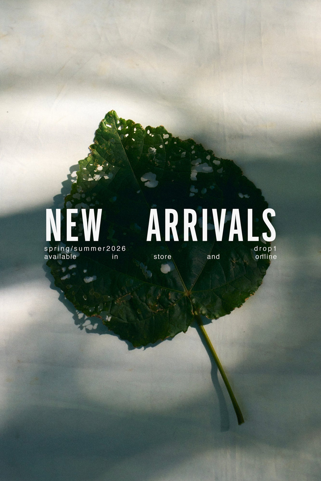 Spring Summer 2026 • New Arrivals